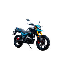 DT BR200 RR